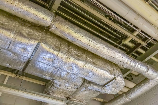 Best Affordable Duct Cleaning Services  in Cynthiana, KY